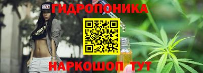 сатива Обь