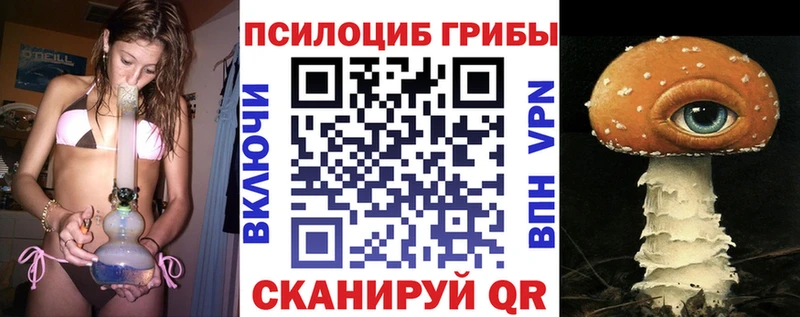 Псилоцибиновые грибы Psilocybe  это какой сайт  Сердобск  закладки 
