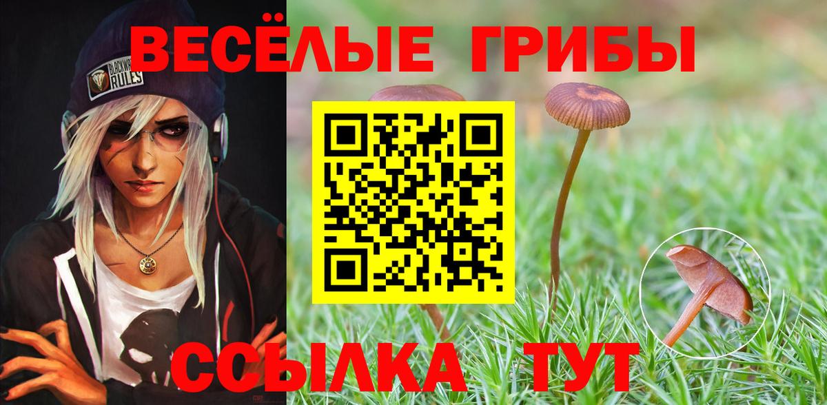 продажа наркотиков  Галлюциногенные грибы Psilocybine cubensis  Вход с VPN  Сердобск 